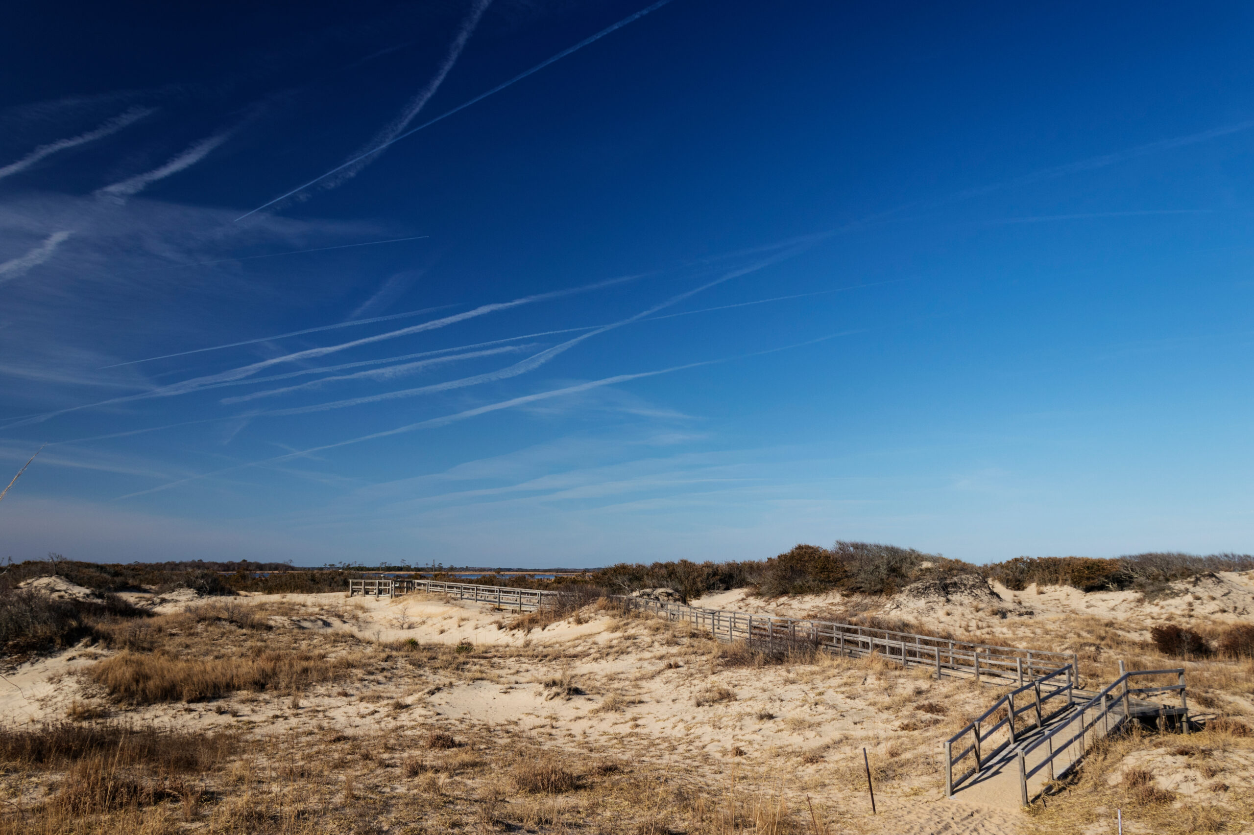 Sand dunes and wooden walkways at Back Bay National Wildlife Refuge in Virginia Beach